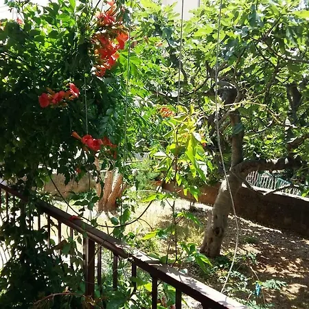 Apartament Ivanka *